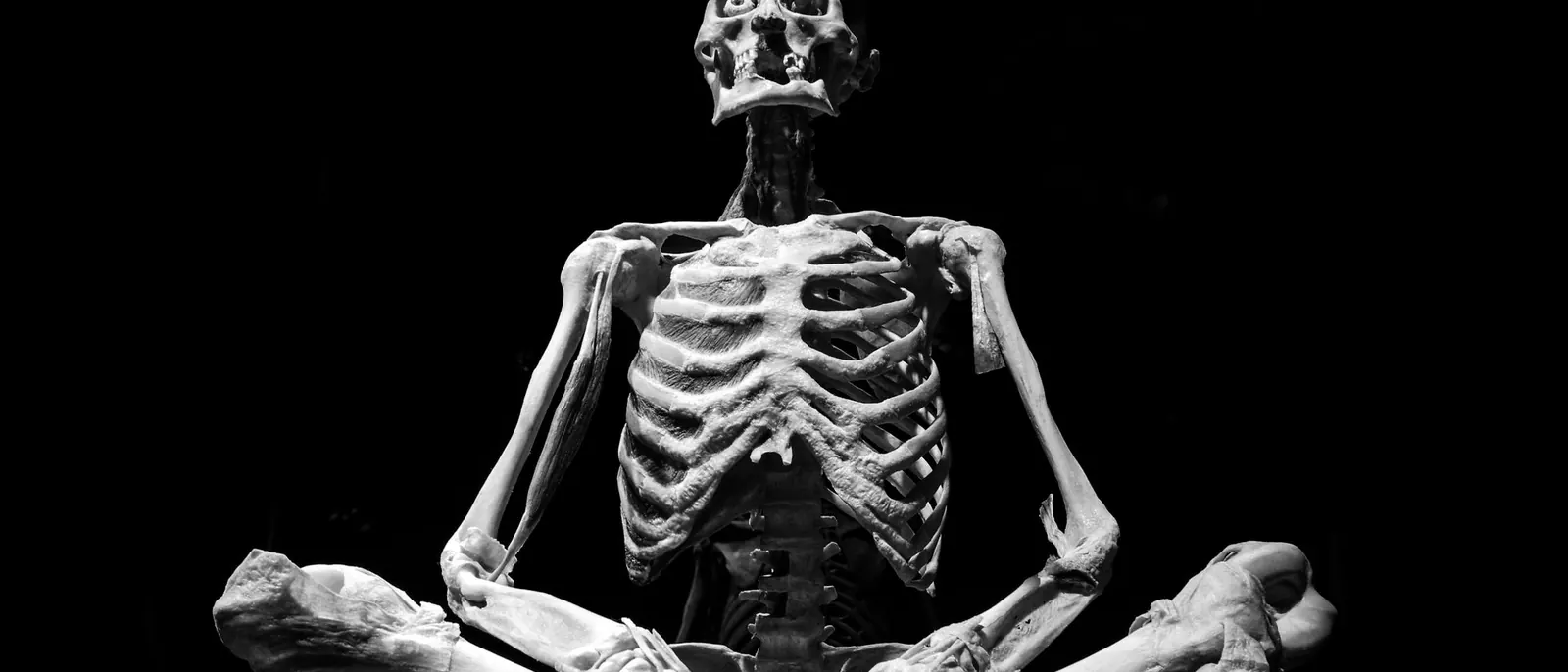 A skeleton model seated in a meditation posture, in black and white